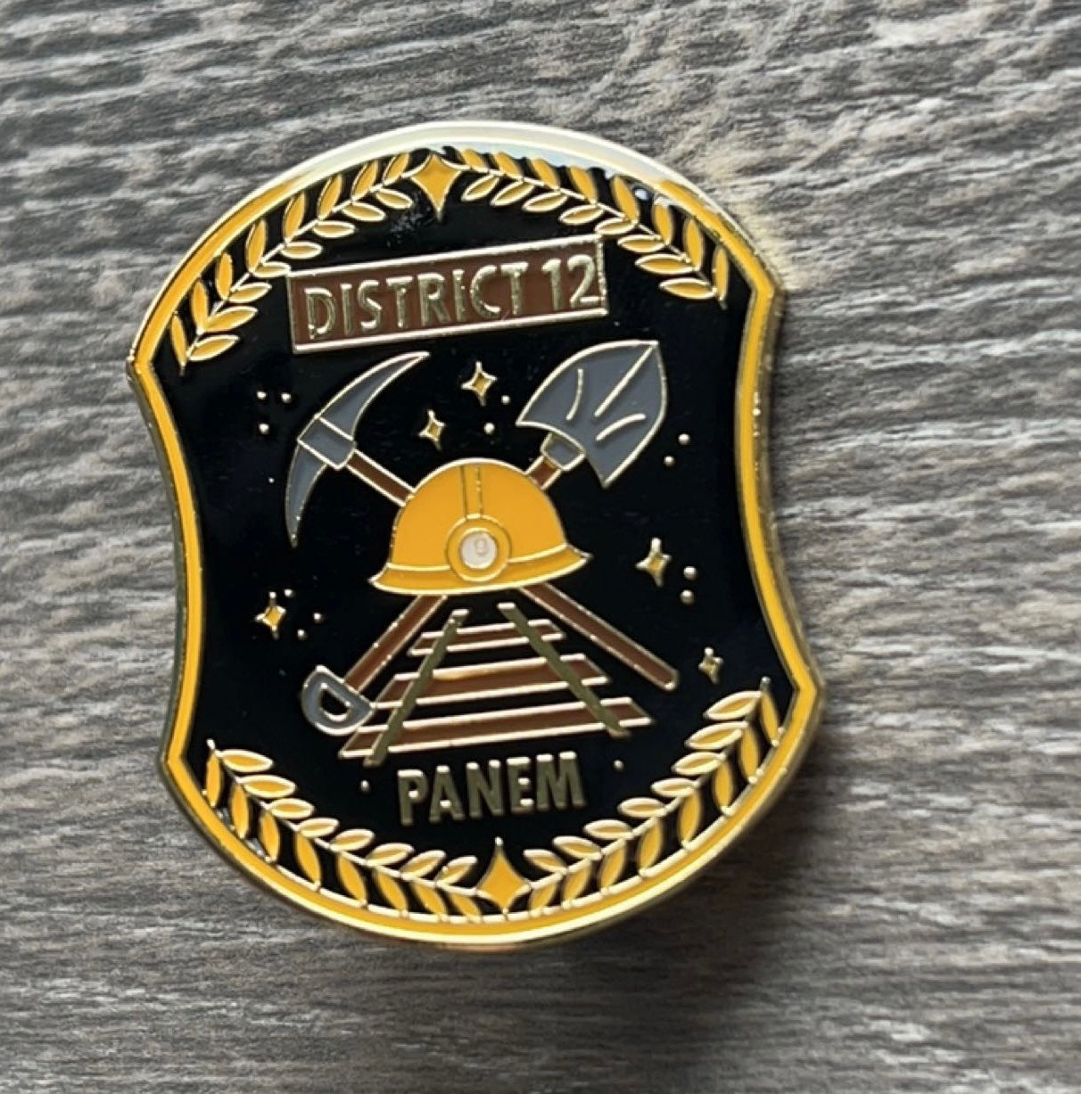 District 12 Dystopian Enamel Pin