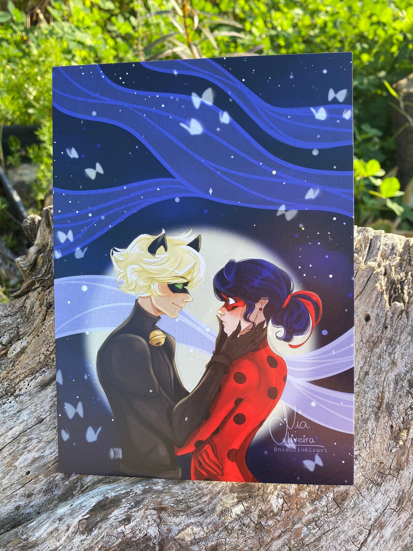 Miraculous Ladybug and Cat Noir 5x7 Art Print
