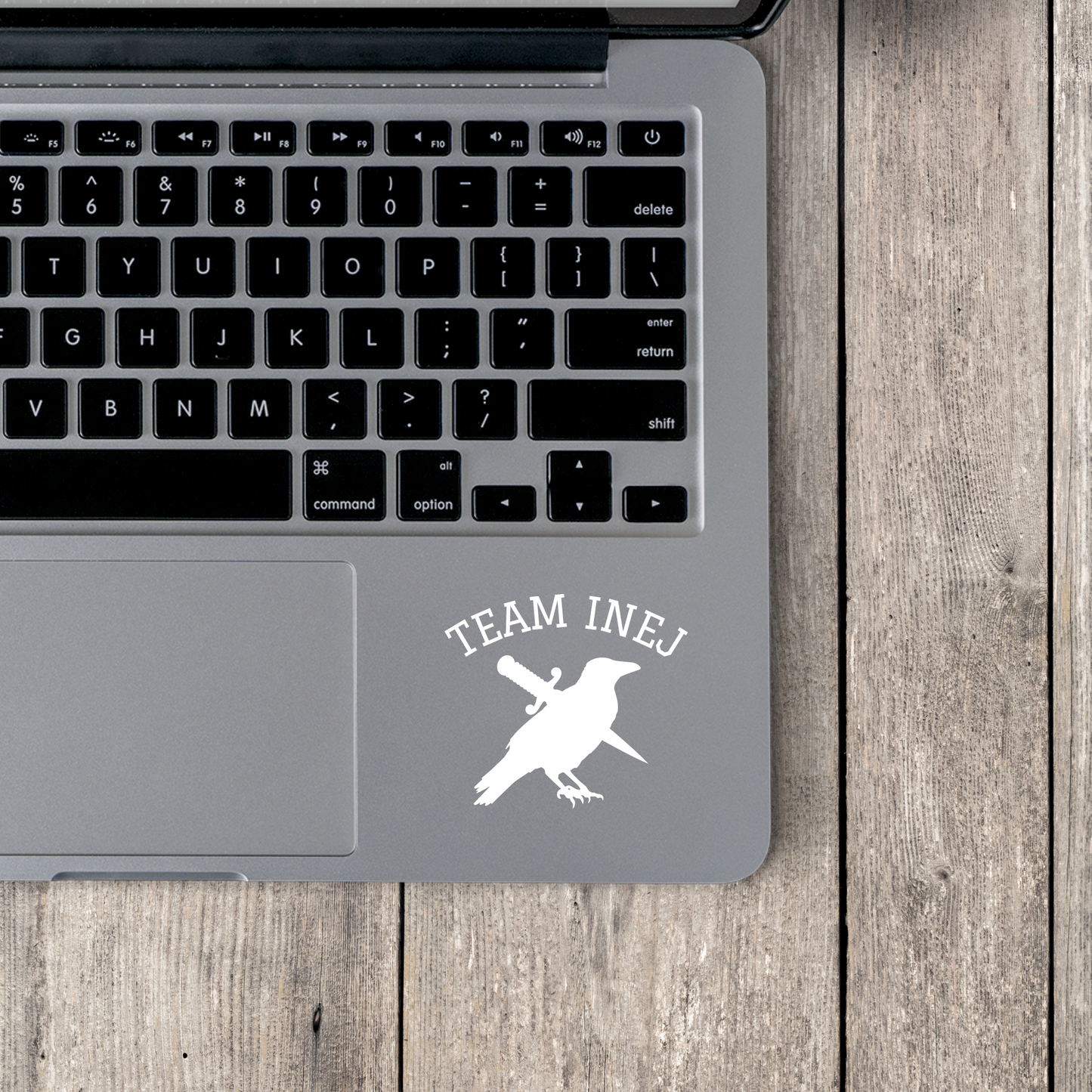 Team Inej Decal Laptop IPad Sticker Bookish Merch SOC Gift For Them LGBTQ Gifts Reader Merch Six of Crows Gift for Her Gift For Him