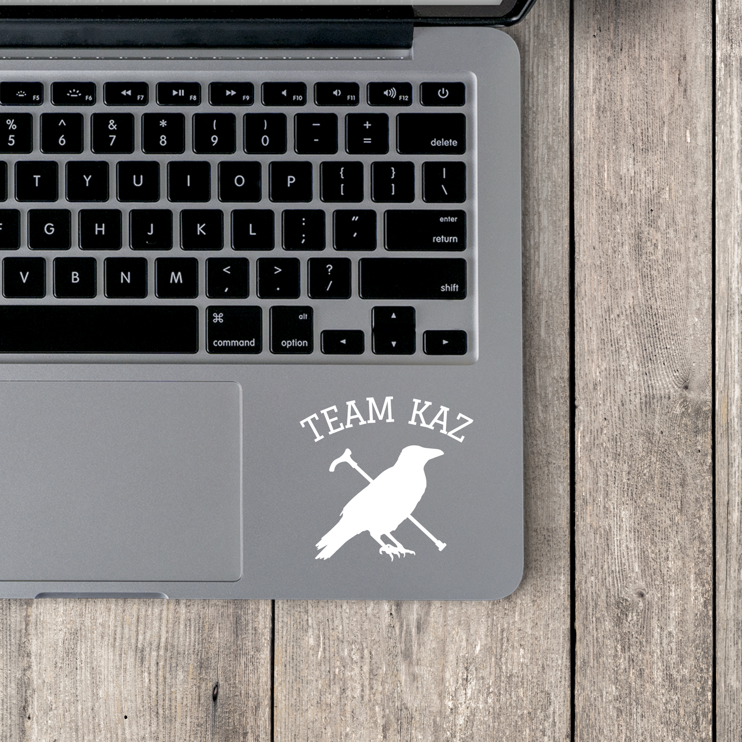 Team Kaz Vinyl Decal IPad Waterbottle Sticker Dirtyhands SOC Reader Merch Gifts For Readers Gift For Her LGBTQ Gifts For Them For Her