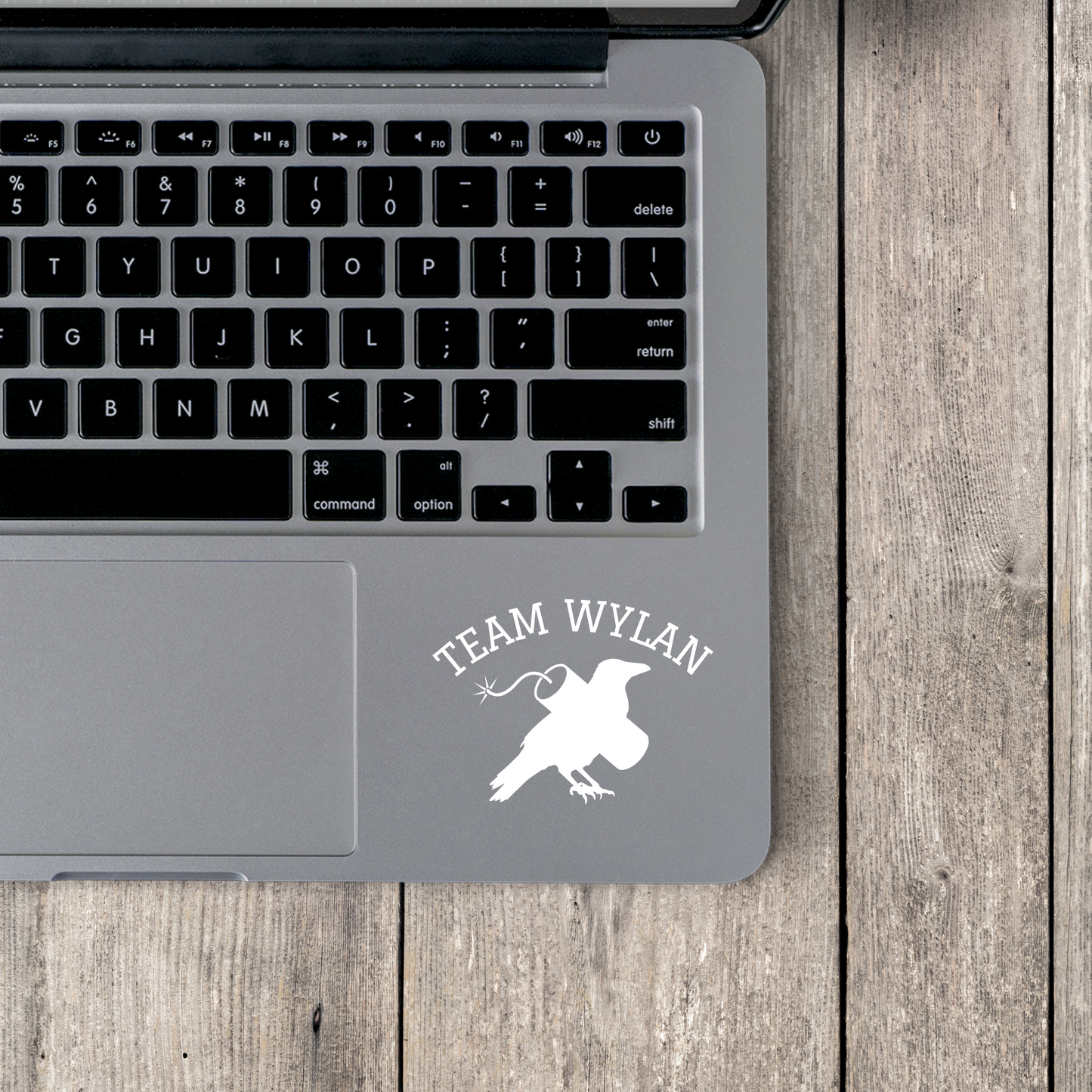 Team Wylan Decal Laptop IPad Sticker Bookish Merch SOC Gift For Them LGBTQ Gifts Reader Merch Six of Crows Gift for Her Gift For Him