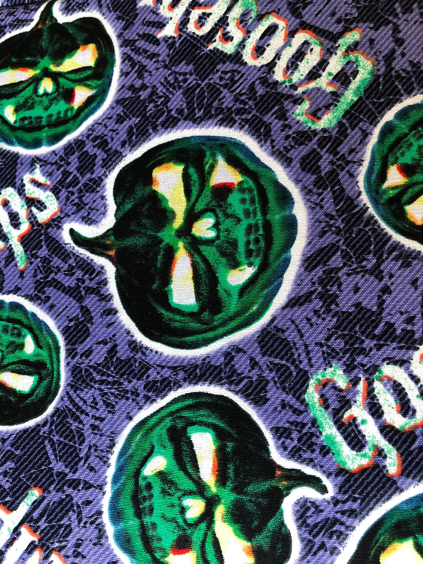 Goosebumps Jack-O-Lantern Book Sleeve