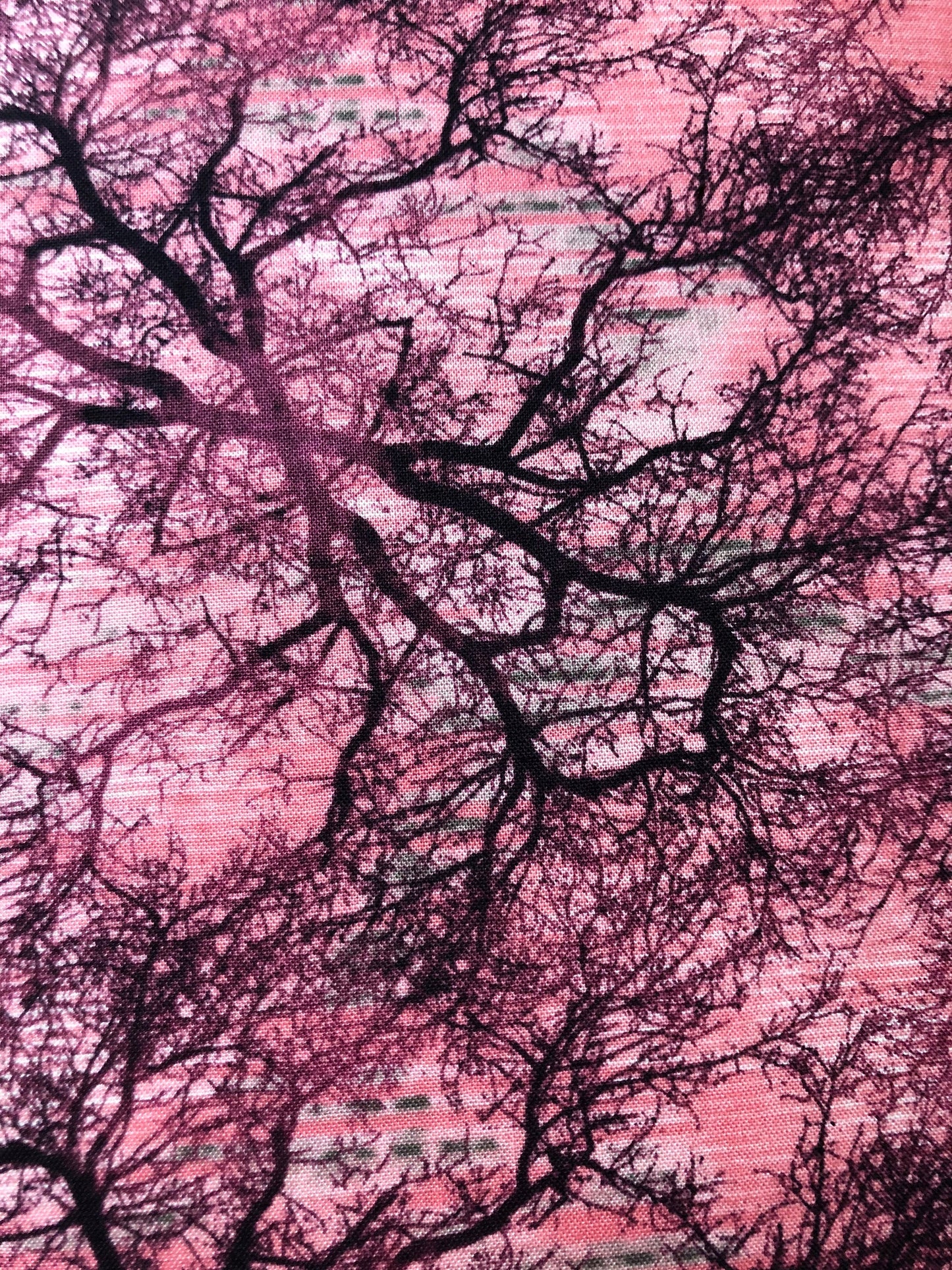 Sunset Through the Trees Booksleeve