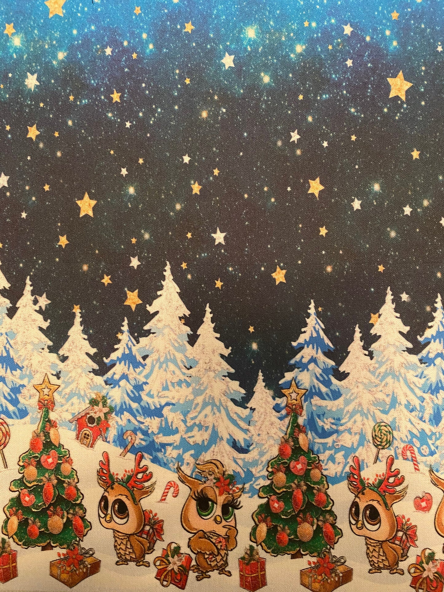 Large Winter Owl Book Sleeve