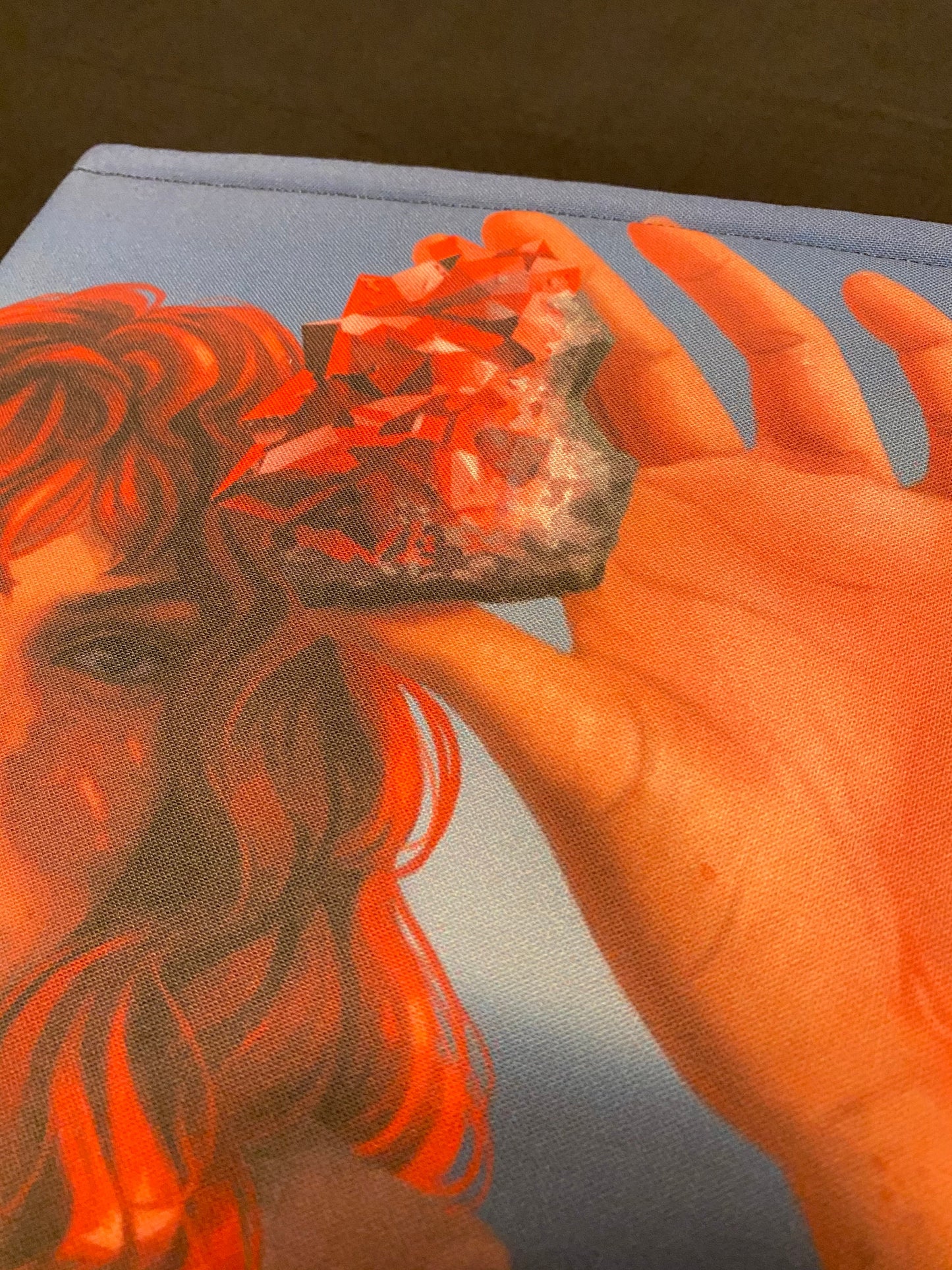 Fable Red Rock Inspired Book Sleeve