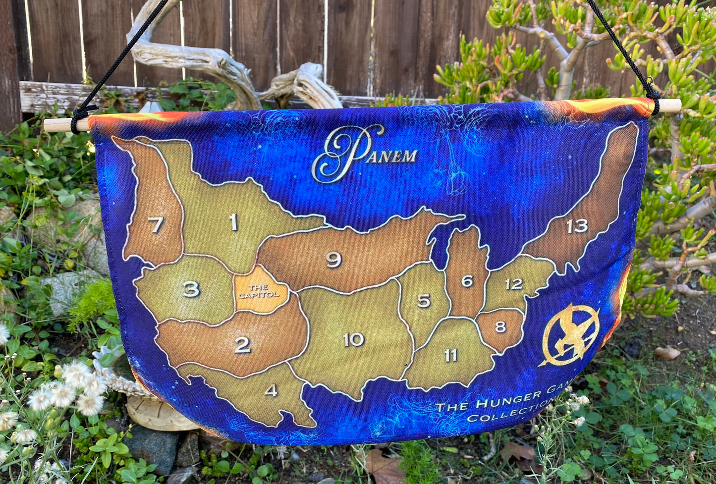 The Hunger Games Panem Map Pin Banner