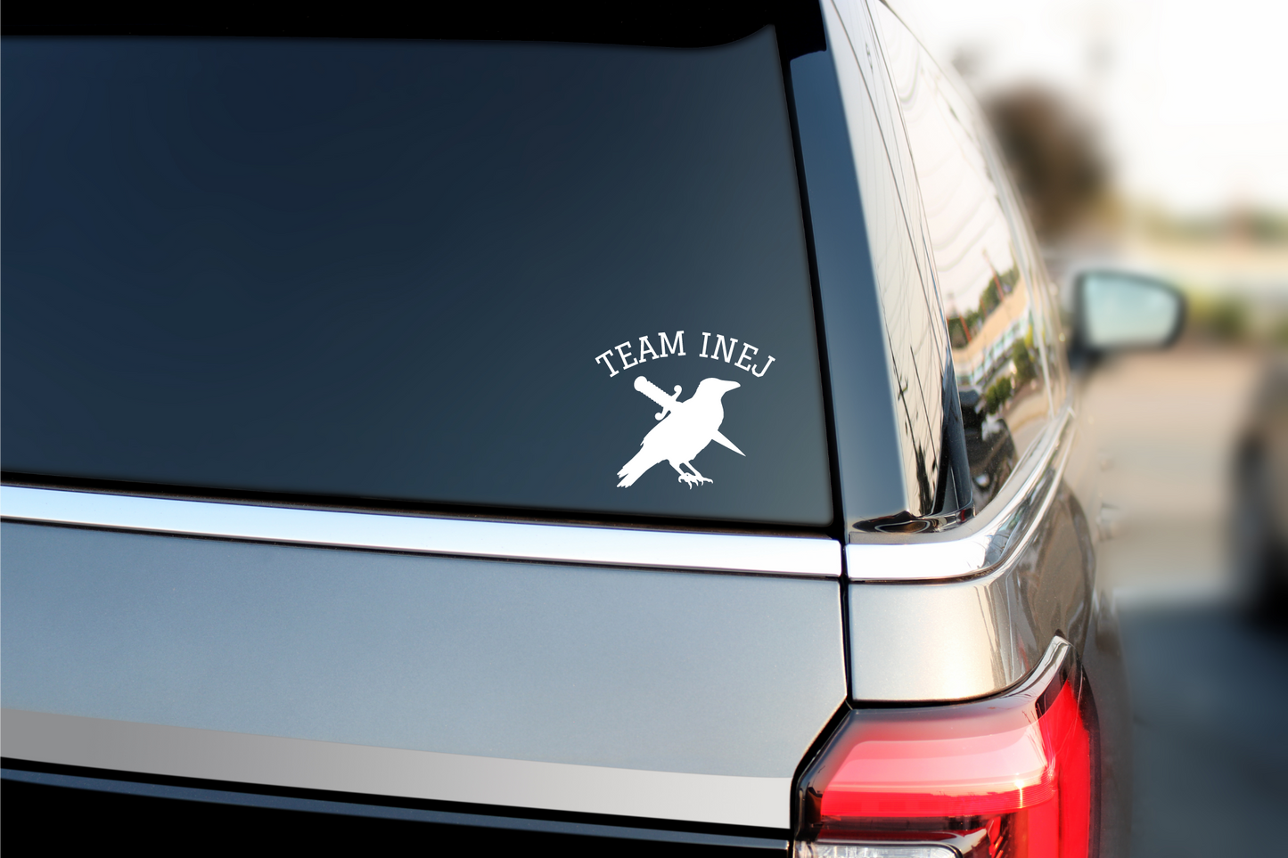Team Inej Car Decal Reader Stickers Vinyl Decal Gift for Him Gift For Them Reader Gifts for Her Dirtyhands SOC Crows Ketterdam Bookish Merch