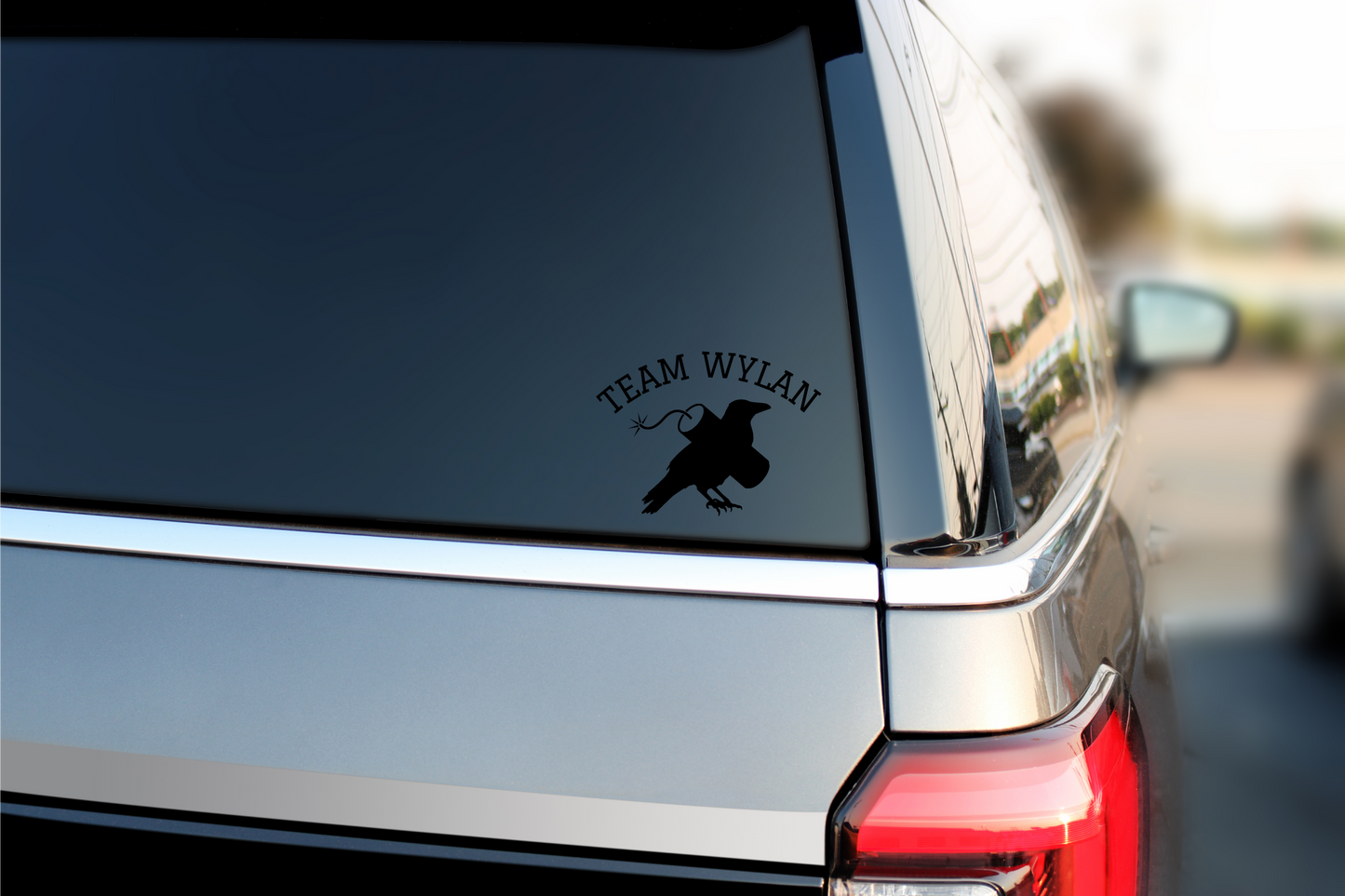 Team Wylan Car Decal Reader Stickers Vinyl Decal Gift for Him Gift For Them Reader Gifts for Her LGBTQ SOC Crows Ketterdam Bookish Merch