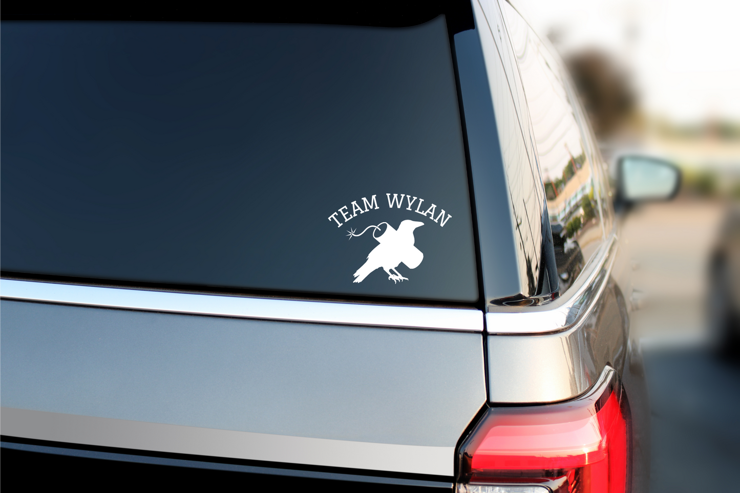 Team Wylan Car Decal Reader Stickers Vinyl Decal Gift for Him Gift For Them Reader Gifts for Her LGBTQ SOC Crows Ketterdam Bookish Merch
